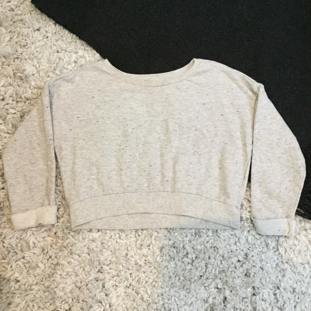 Zara Grey Cropped Sweater